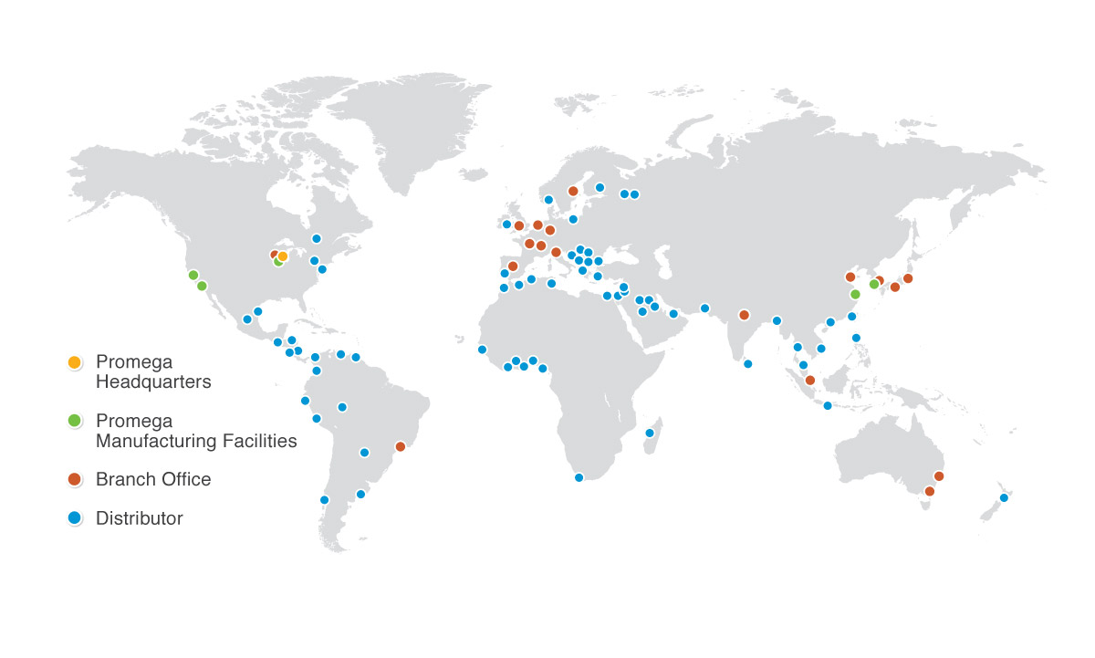 Manufacturing and Custom Capabilities