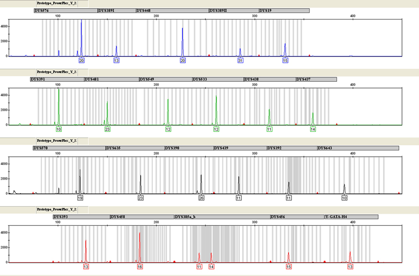 The Use Of PowerPlex® Y23 System With The ABI PRISM® 310 Genetic Analyzer