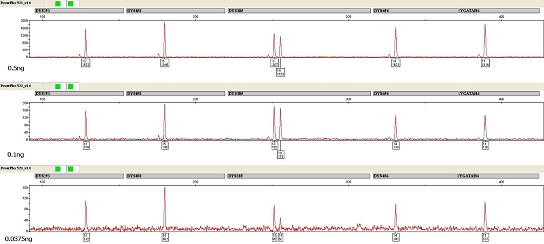 Internal Validation And Implementation Of The PowerPlex® Y23 System In ...