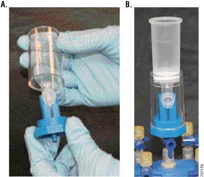 protocol plasmid midiprep