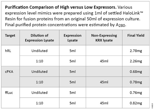 High Protein Yield and Purity with the HaloTag Protein Purification System
